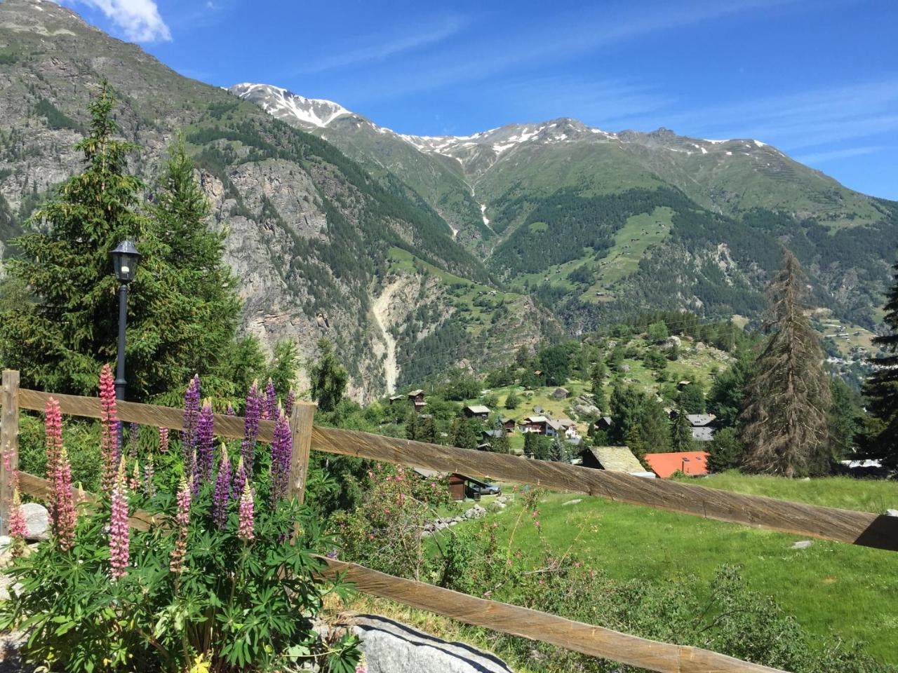 Chalet Charming Grachen Ngoại thất bức ảnh